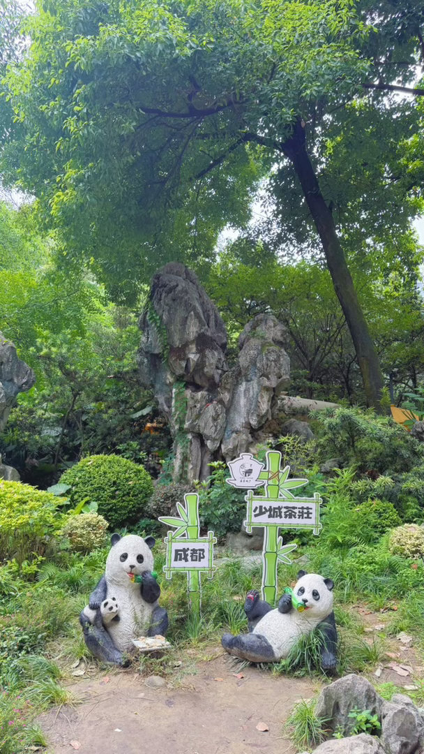分享图片 