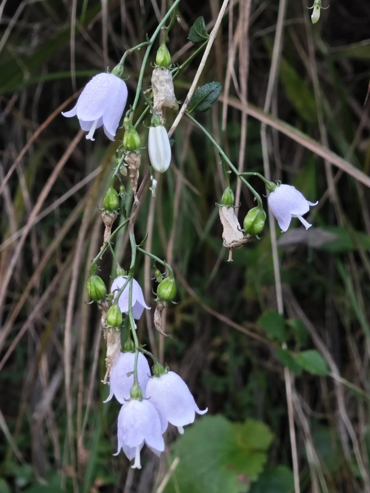 国庆最后一天假期，能量用完了，精气神都没有了！
赶紧睡觉，充电！

明天满血复活