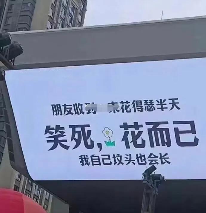美好心情瞬间消失殆尽。