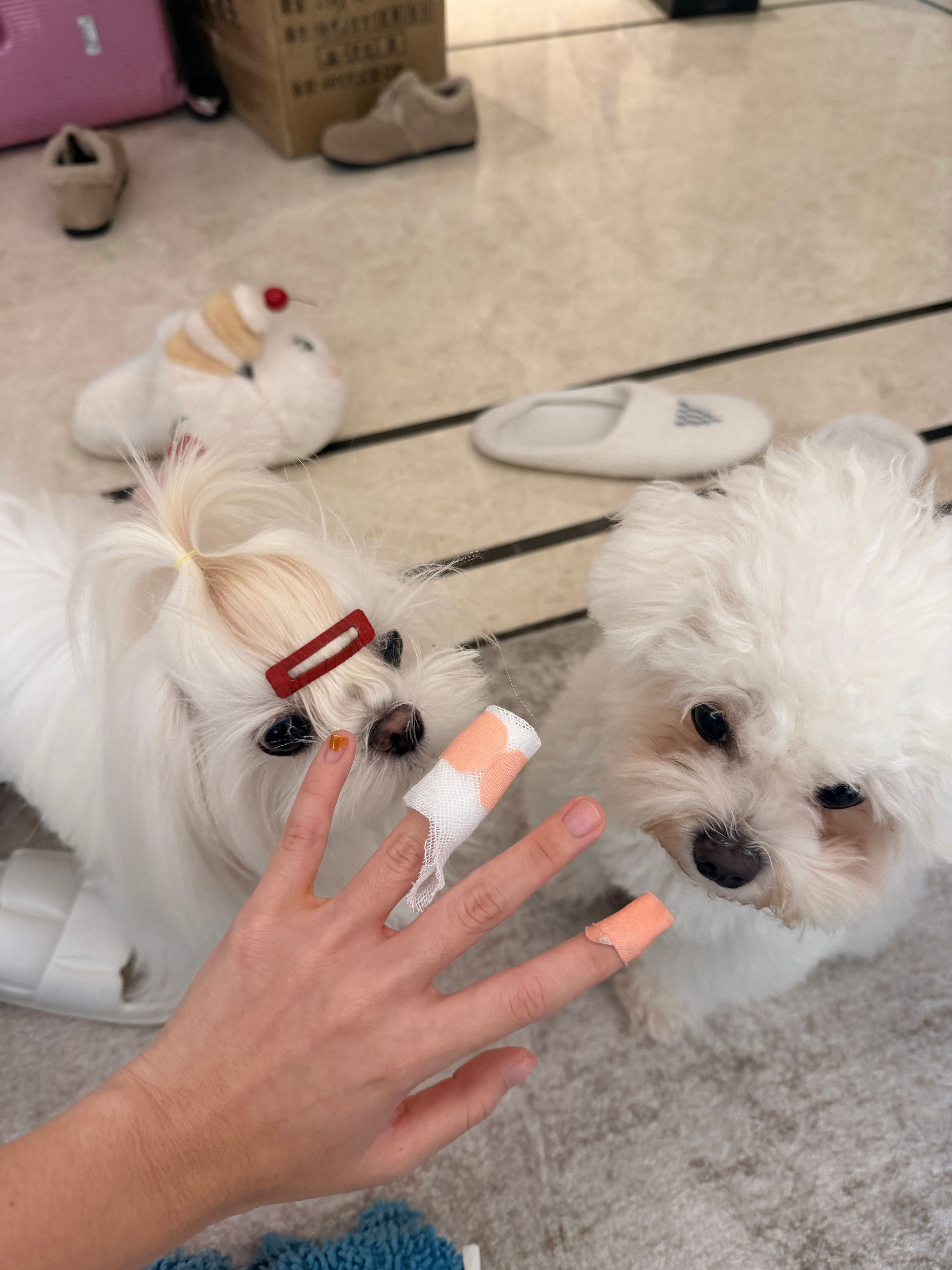 啊哈哈哈哈哈哈哈哈哈哈没一个好手指 