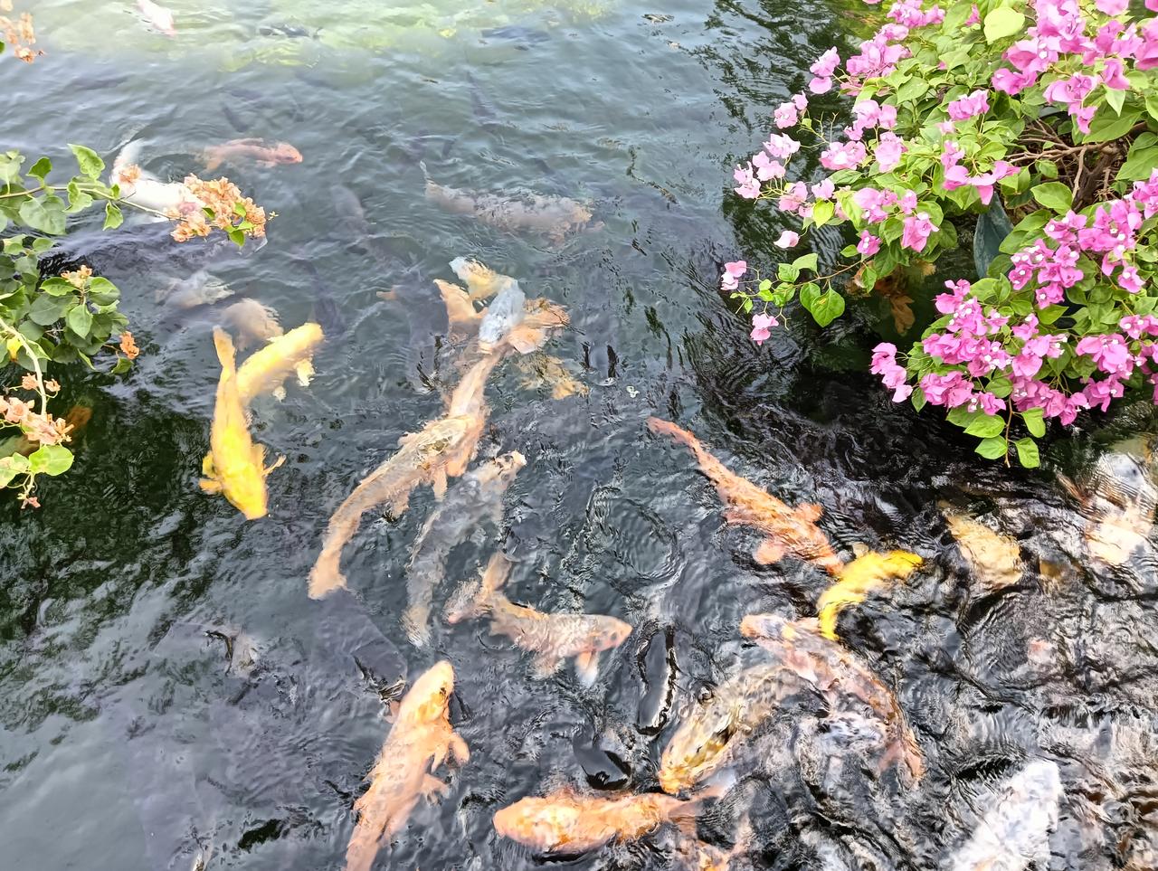 ?
昨天A股挺拉胯的， 虽然沪指稳如老狗，但双创板块大跌。个股3682家下跌，中
