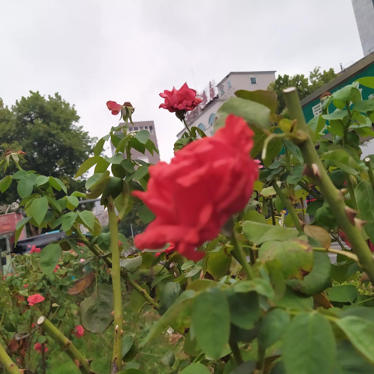 #独家诗词赏析# 灯火辉煌“灯”自白，谈灯自然想到火！
烟火人生经用灯，远古浩瀚