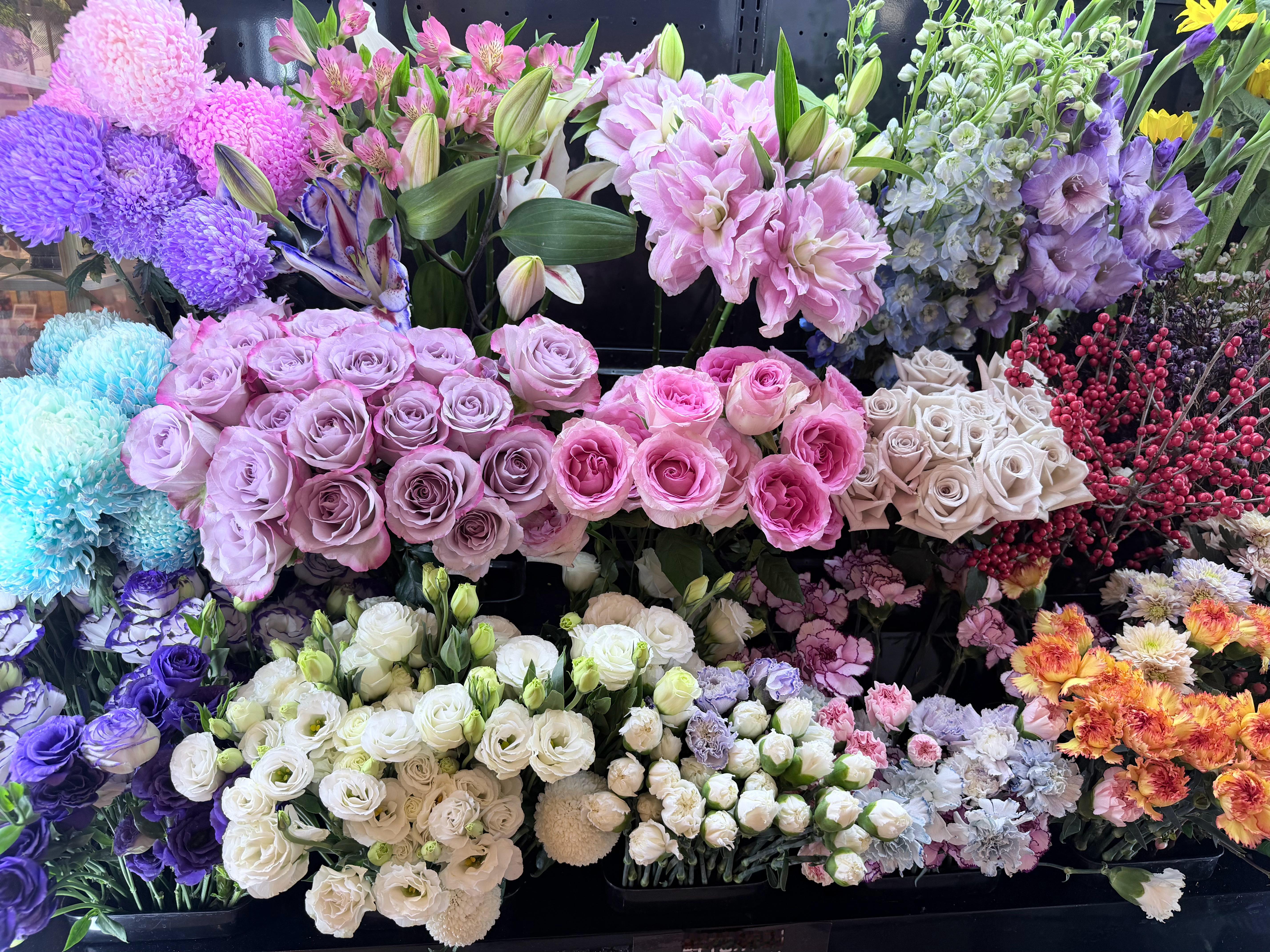 真的来吃🦆鸭子了 上海·上海陆家嘴中心L mall