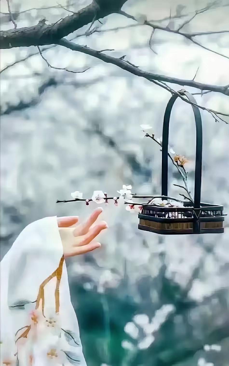 一段让人瞬间清醒的话说：​“清醒的边界感，对父母，只孝顺，不共情；对配偶，只共存
