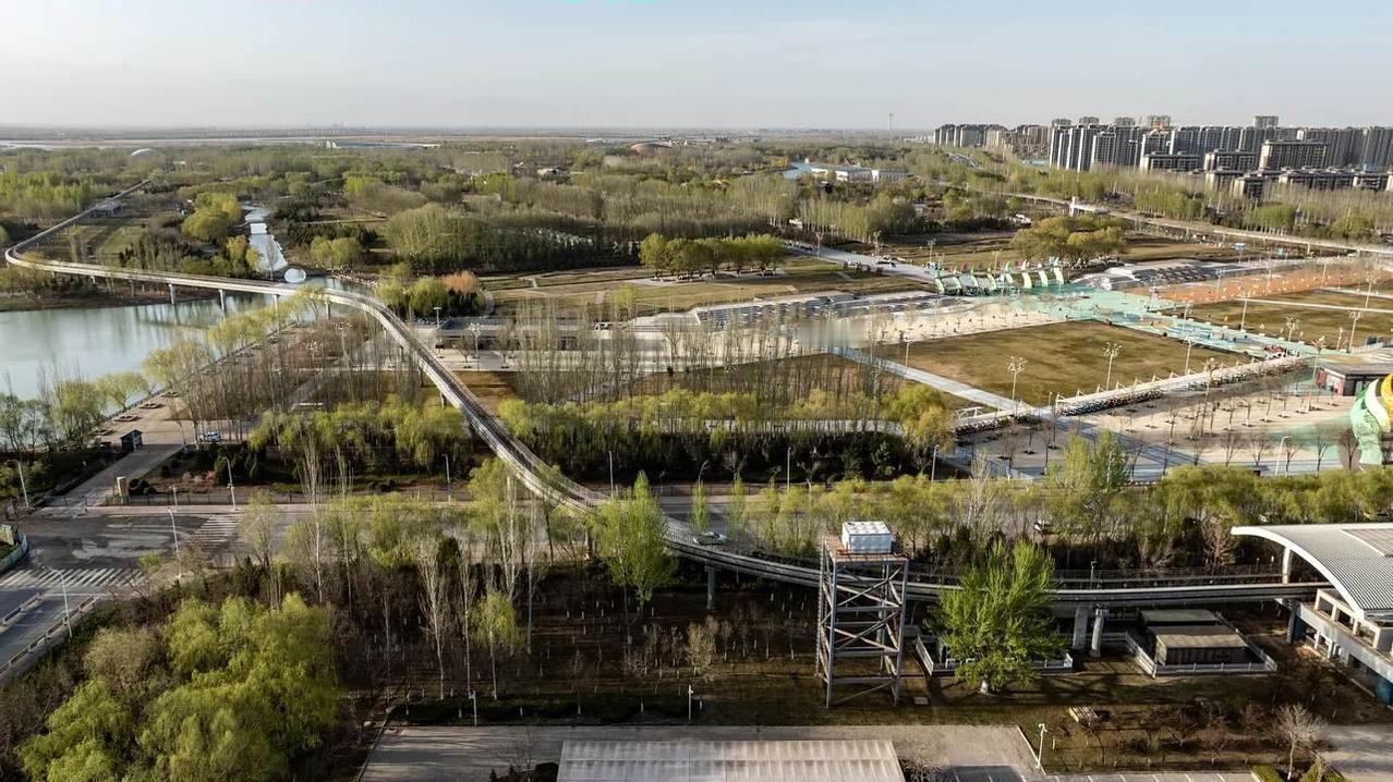 《花博园》：在燕鸽湖拍红嘴鸥icon，碰到银川基地的摄友老郭，他建议我去花博园用