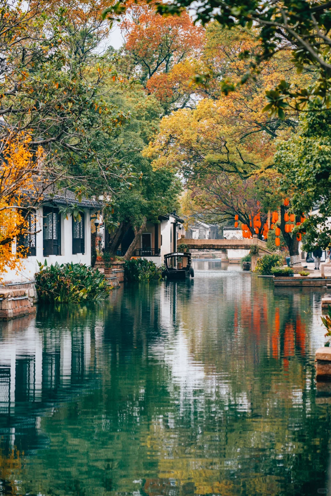 先出发再说｜这座百年水乡，是我对江南的向往
