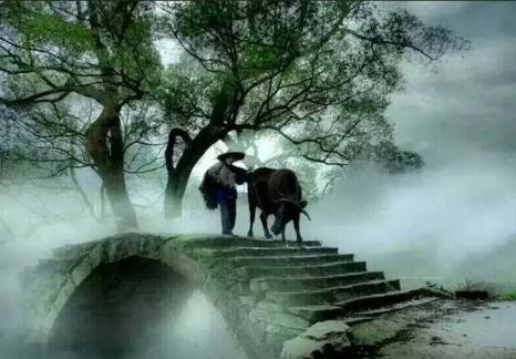 天净沙·牧牛
拱桥横跨溪沟，
岭川墨韵盈眸。
晚照余辉景幽。
术松稍后，
犁归牛