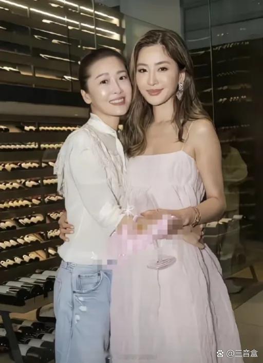 香港演员周丽淇和姐姐周汶琦长得容貌出众，可是两姐妹的命运却天差地别，姐姐嫁入法国
