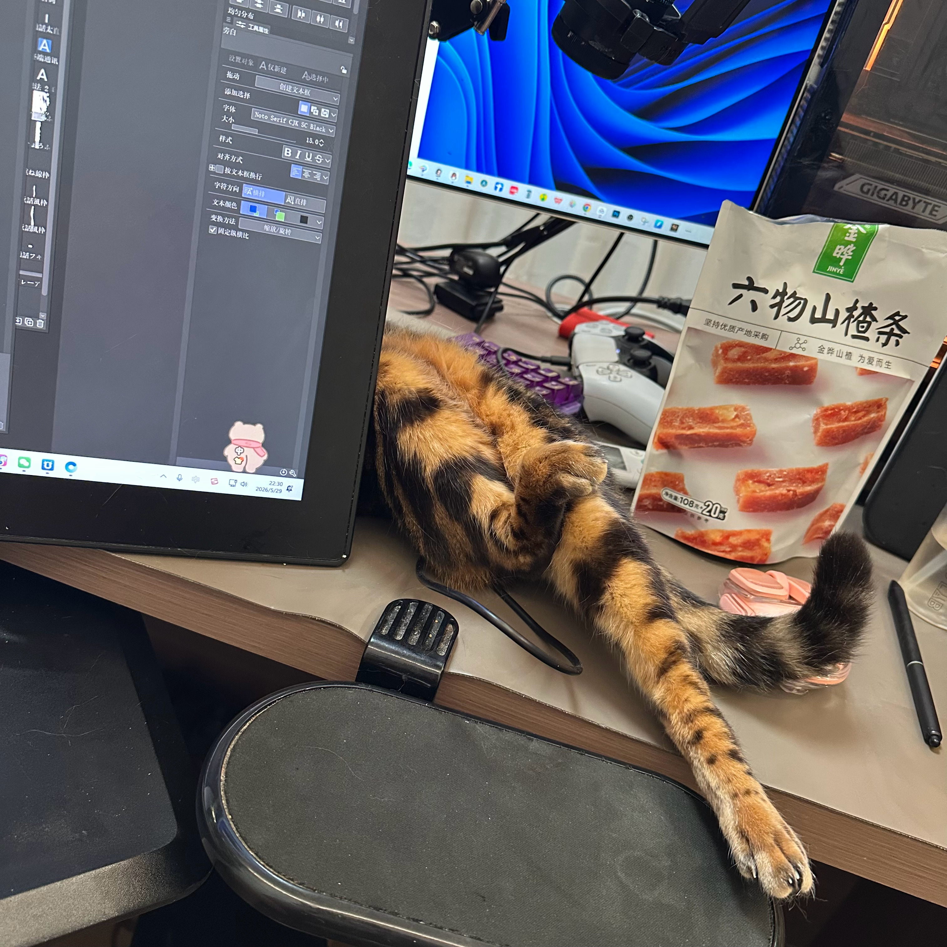 你一定要这样吗 