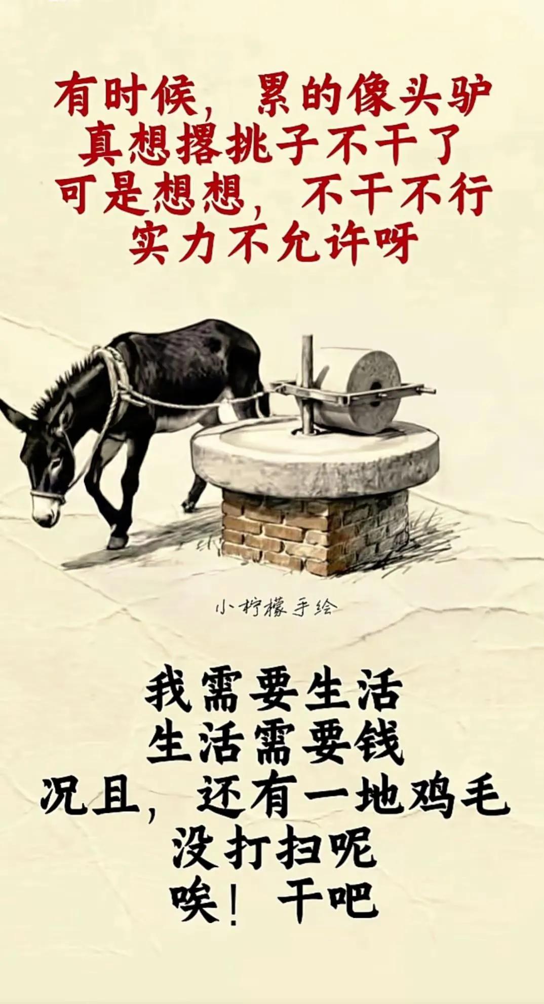 就像这头拉磨的驴，看似绕着圈子奔波，可每一步都在为生活添砖加瓦，那些看似无奈的“