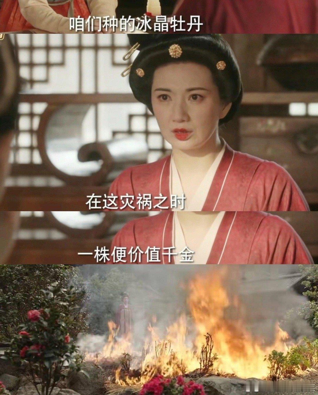 我就说锦绣芳华断更会出事吧 何惟芳身世都被猜成宁王女儿了，连主演们都下场玩梗。杨