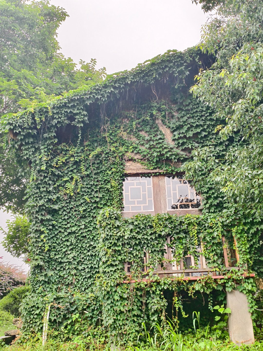 命运里自由的风总是不经意间遇到新工作三个月咯~团建 汨罗·汨罗村