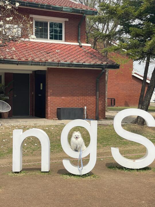 小斗我啊也是打卡上了🇰🇷美军基地