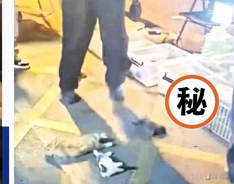 摊贩当众摔死兔子，孩子吓瘫哭嚎！
 
这事儿看得我拳头硬到发抖！河南漯河这摊贩的