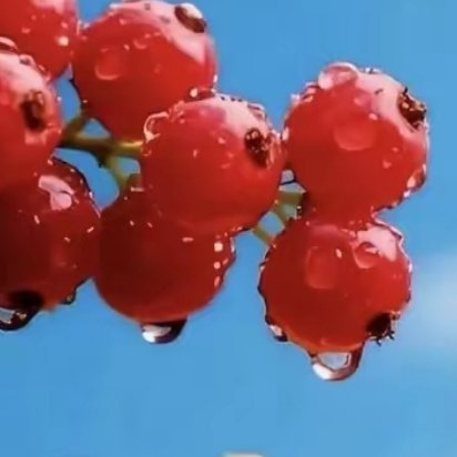 晨光轻抚窗棂，把昨夜的梦酿成今日的甜。生活无需事事圆满，留点缝隙让阳光照进来，便