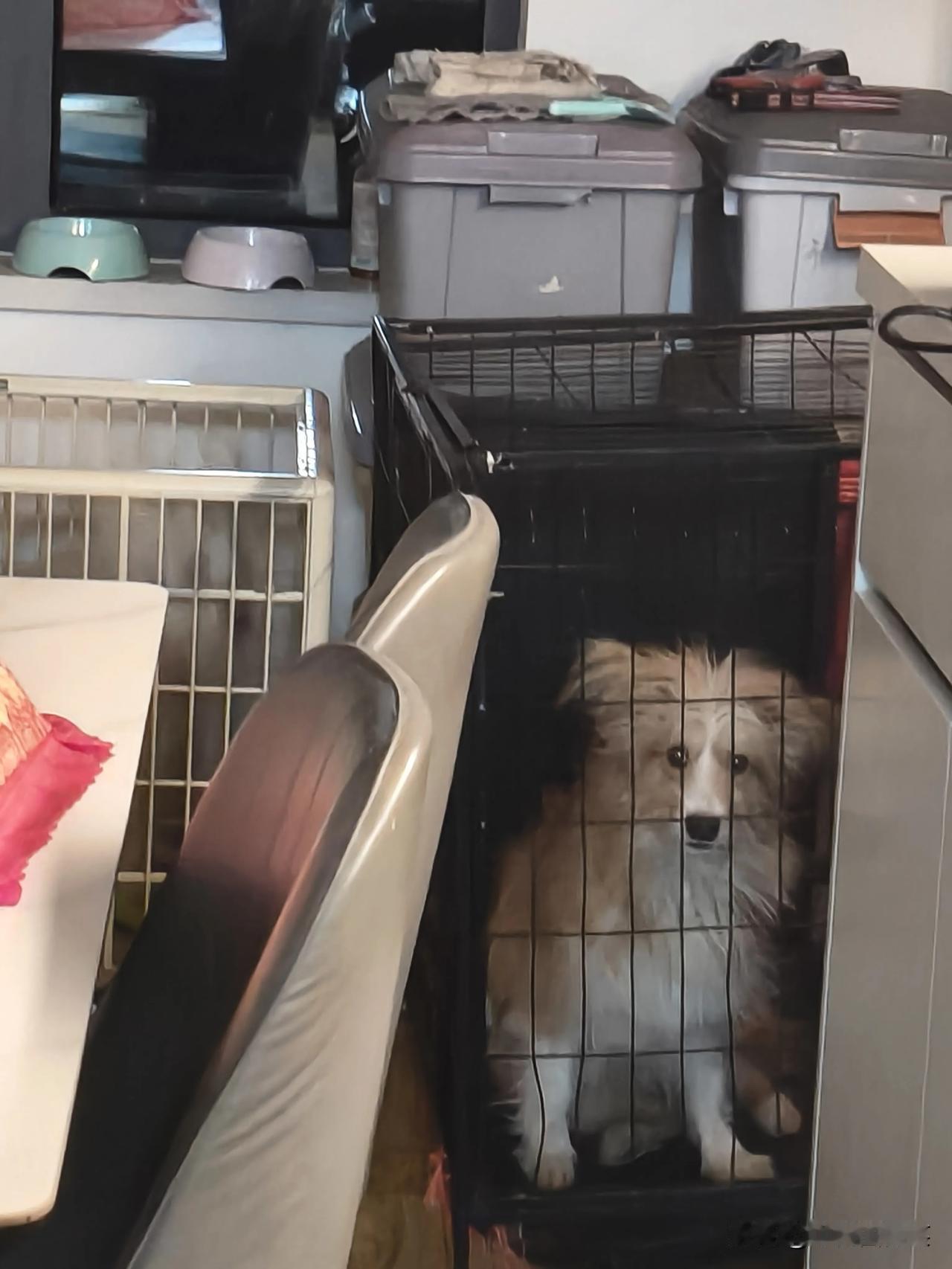 你看你们开心的