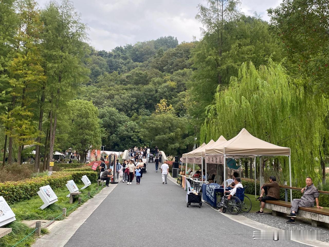 都市人的周末生活越来越丰富了，大山里的露营⛺️、城市里的手工艺品，还有接地气的各