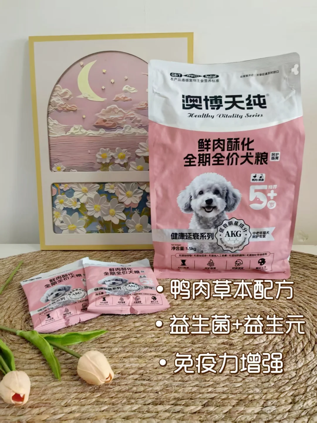 5岁狗狗关节警报！