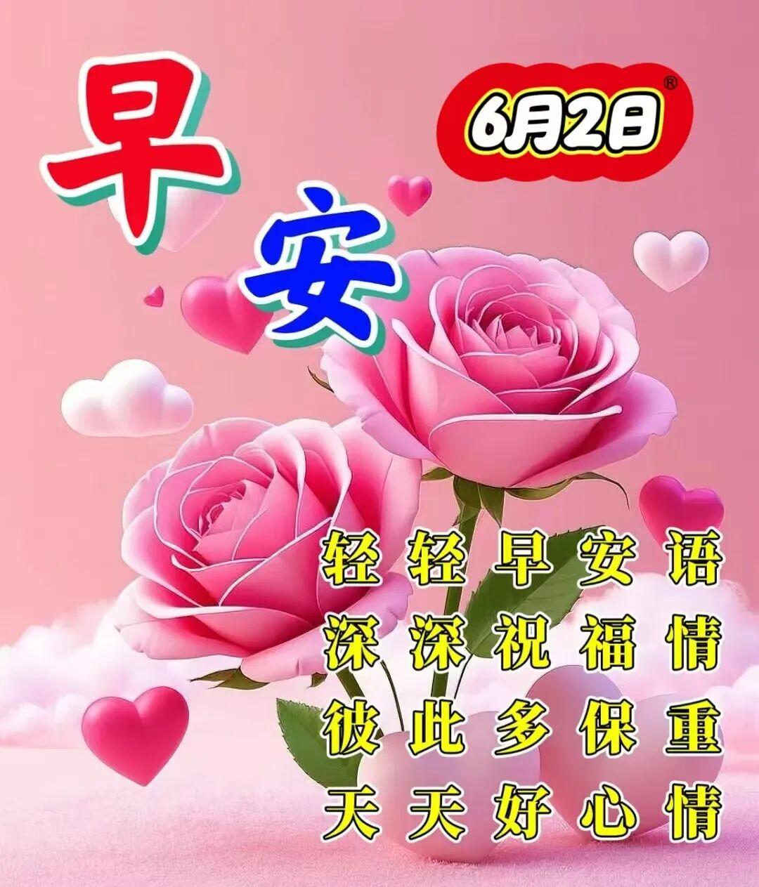 快乐的人，修炼了一份淡然的心态，一切随缘，不为难自己，不勉强他人，不和世界对立。
