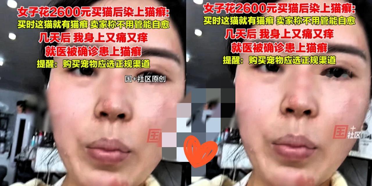 崩溃了！浙江嘉兴icon，女子有钱没地方花了，竟然花2600块钱买了一只猫当宠物