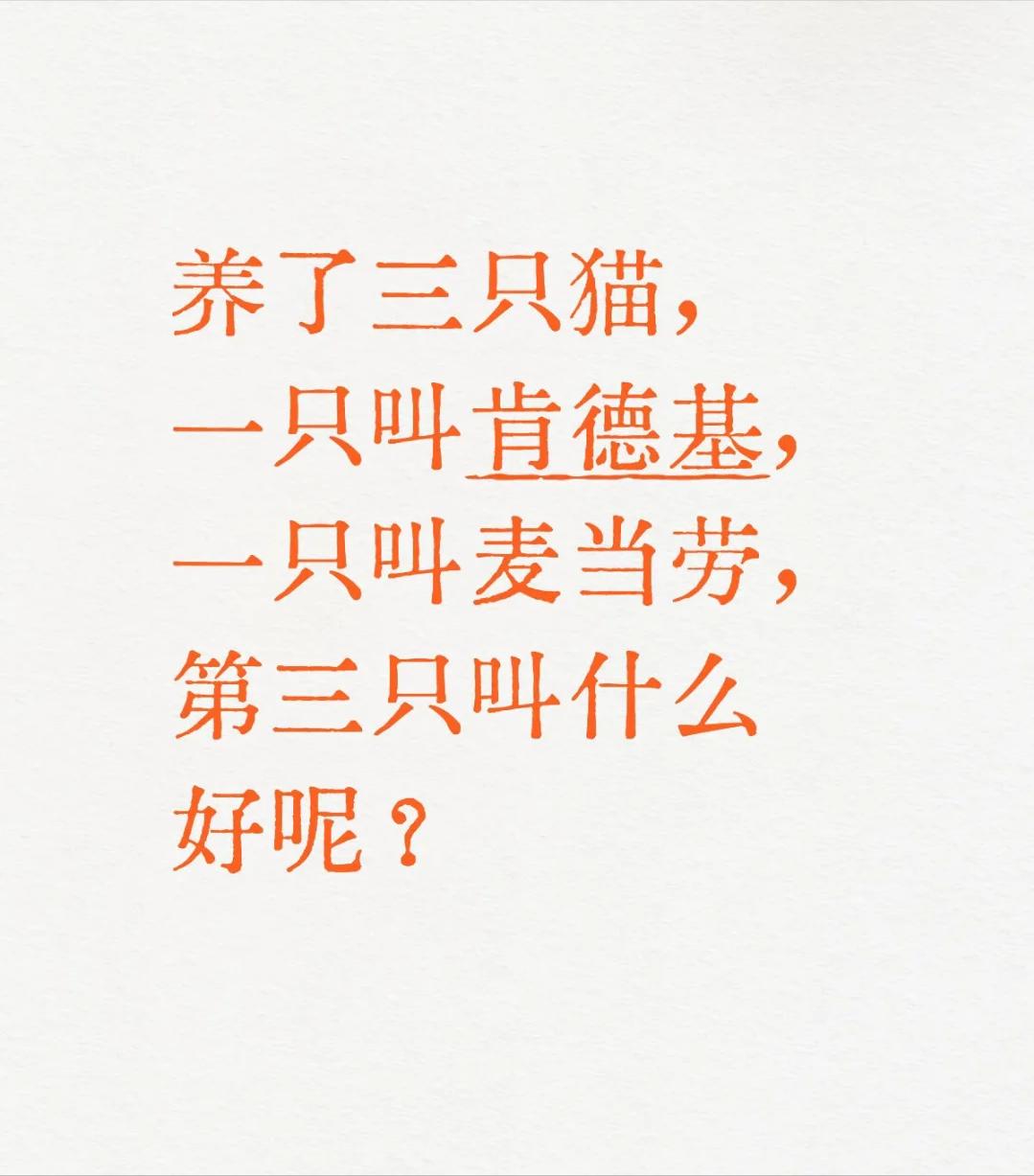 帮忙取个般配的名字......