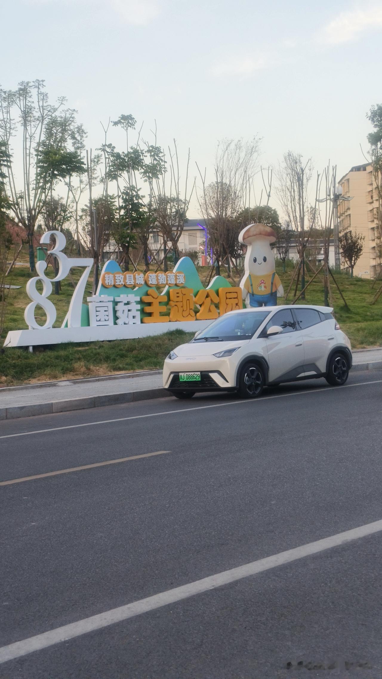 幸福的人生就是：身体健康无大病，平时没心没肺，活着不累，每天睡到自然醒，数钱数到