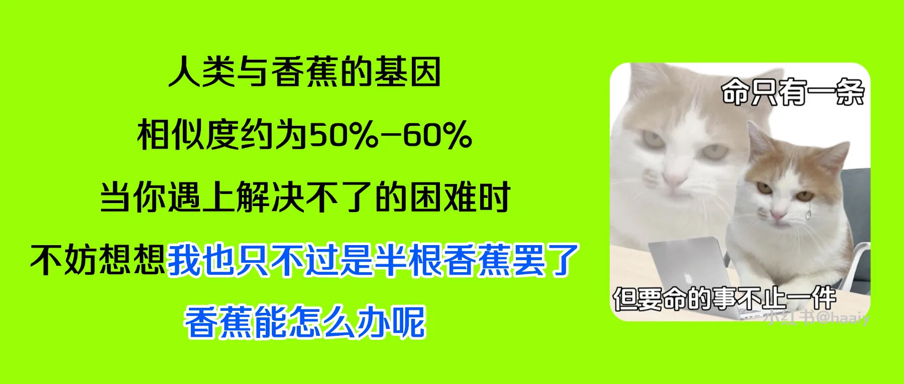 好的