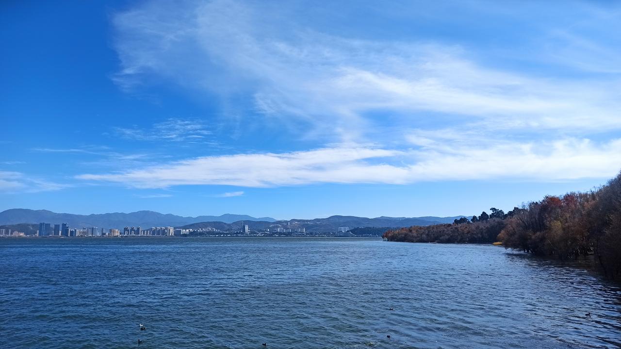 人啊！一定要多走出家门走走、看看。
无论是去公园，还是去山间田野，还是去与人谈天