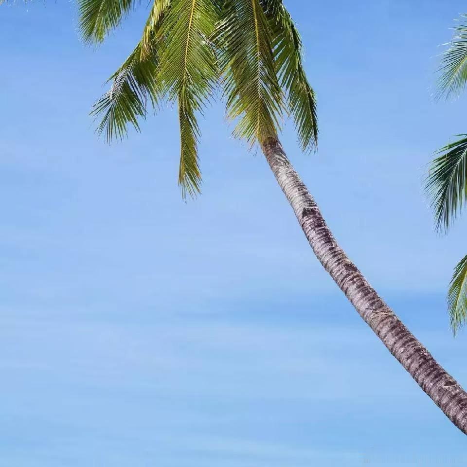 不是每一段故事的结尾，都有句话。早安故事的结尾绝非偶然6月11日