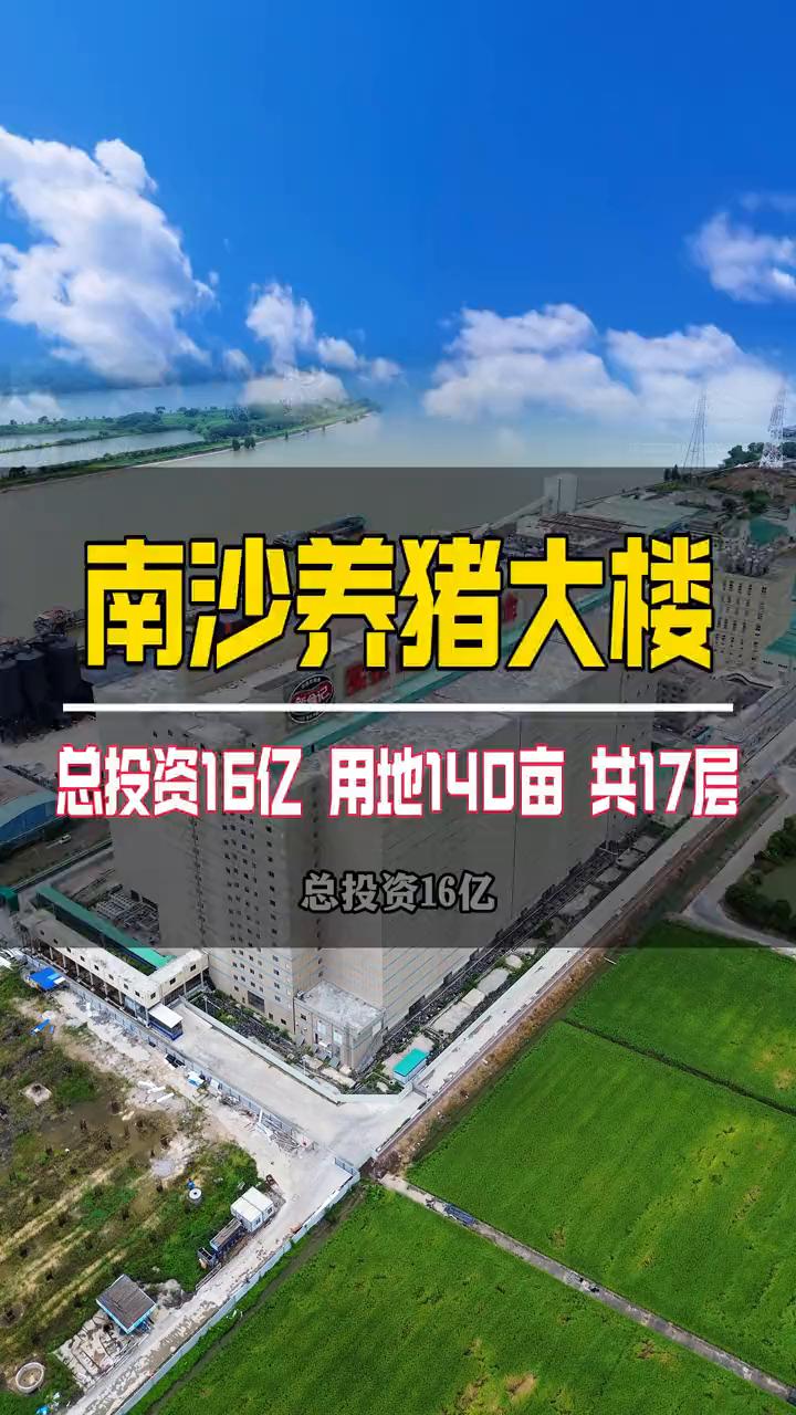 南沙养猪大楼，总投资16亿，用地140亩，共17层。
总投资16亿，用地140亩