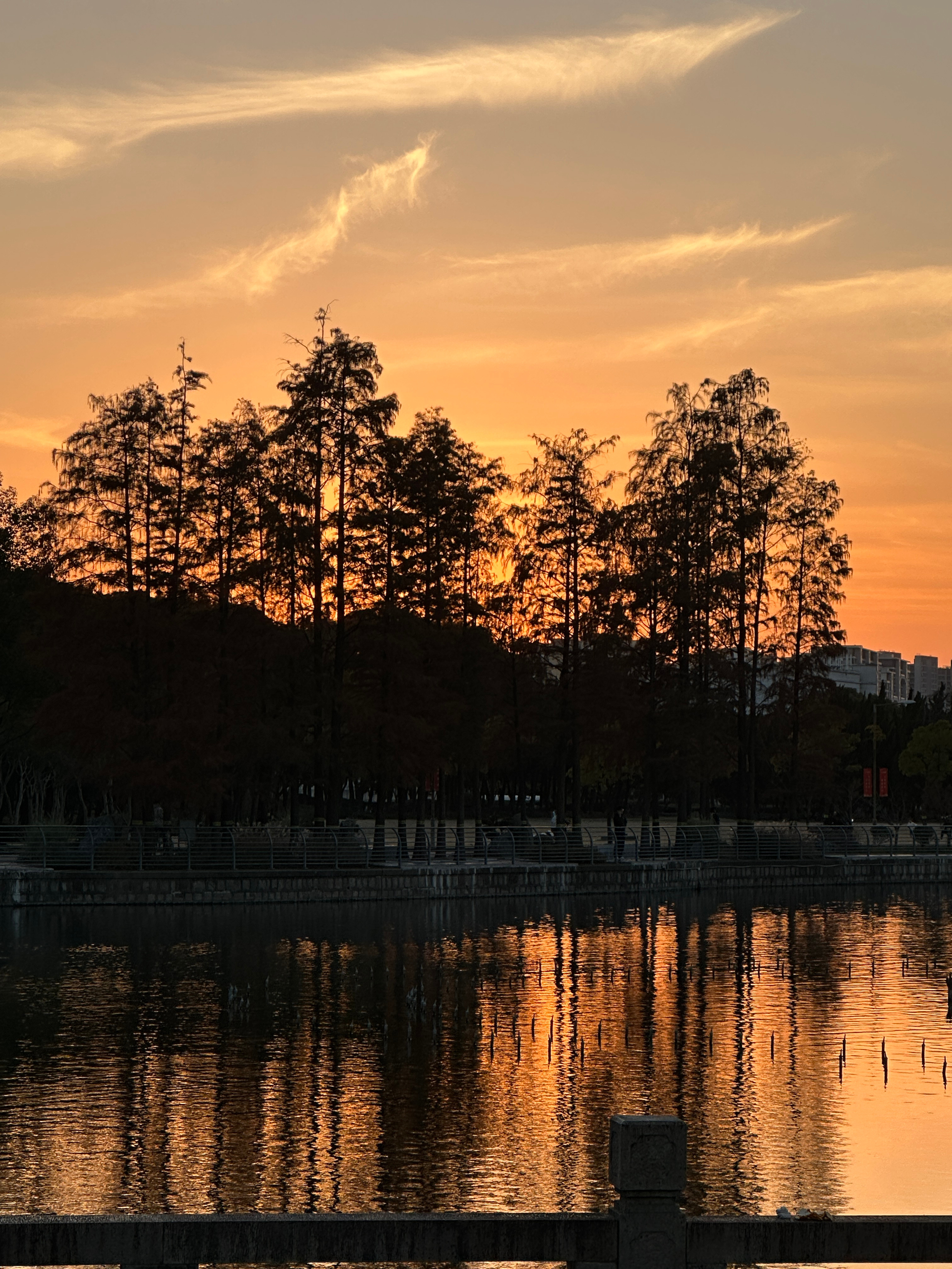 hi我的电子闺蜜们最近怎么样！这一周白天都在学习（太久没有往脑袋里输入些知识了 