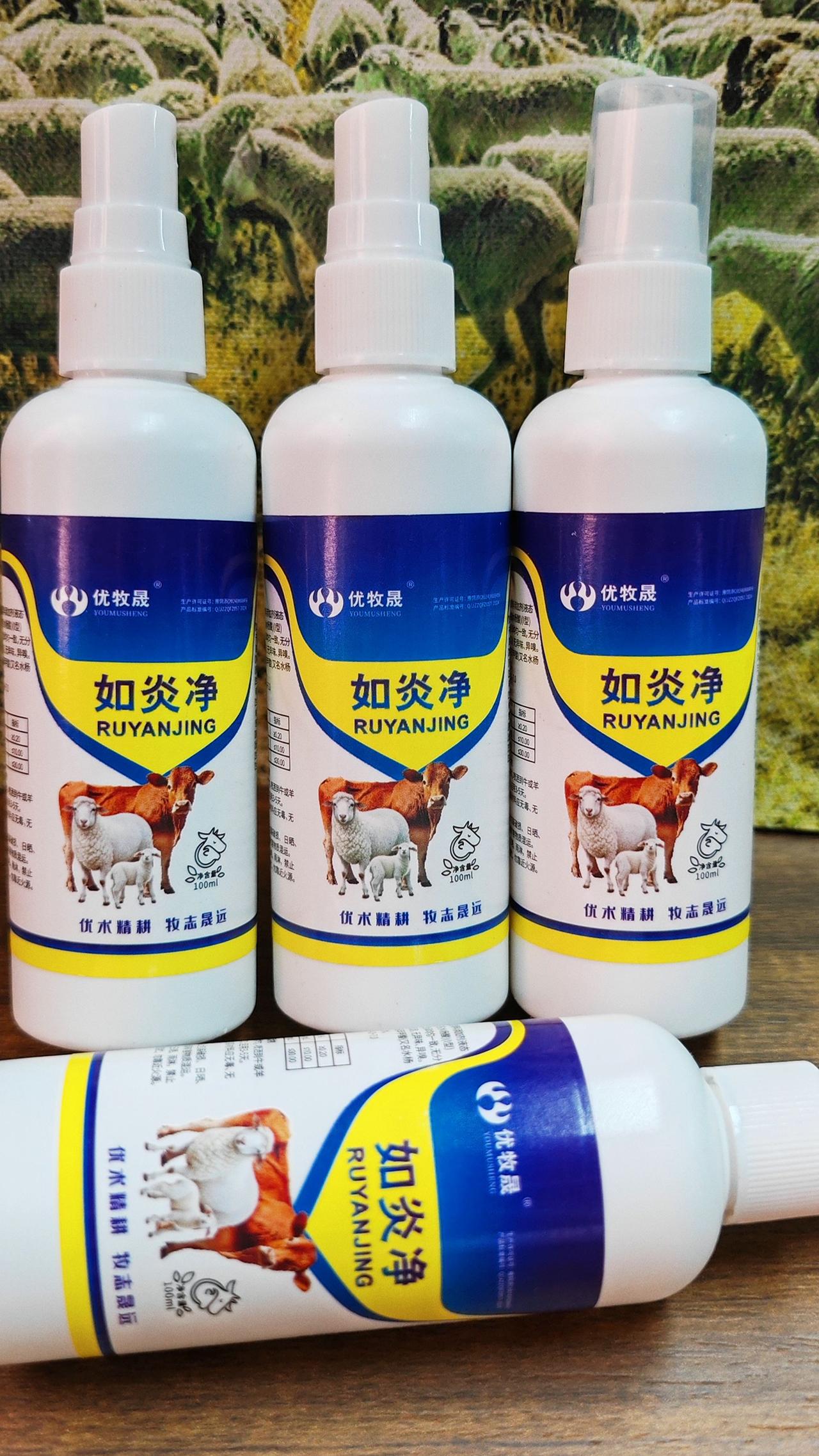 养羊人 牛羊乳房炎 农村养羊 牛羊养殖