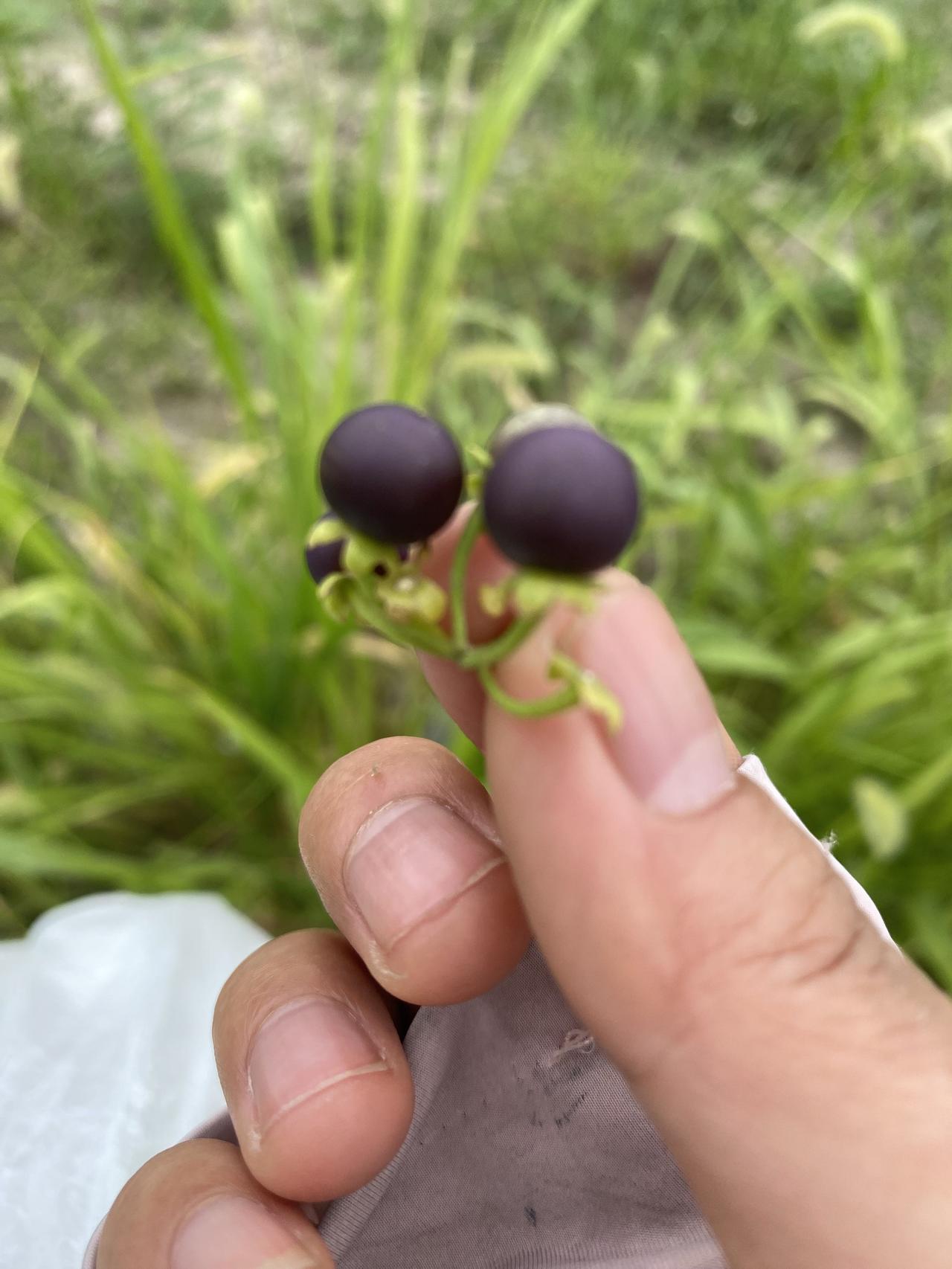 有一个妈妈告诉我，她每天都很拼，只忙自己的事，对孩子只是顺手照顾照顾一下，她从来