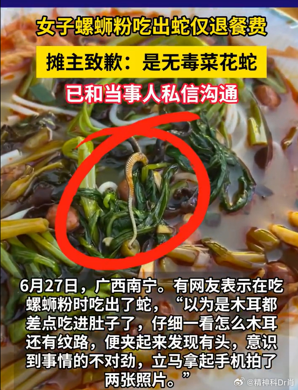 【女子螺蛳粉摊吃出蛇摊主回应女子螺蛳粉吃出蛇】6月27日，广西南宁。有网友表示在