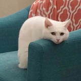 爸妈陪伴录