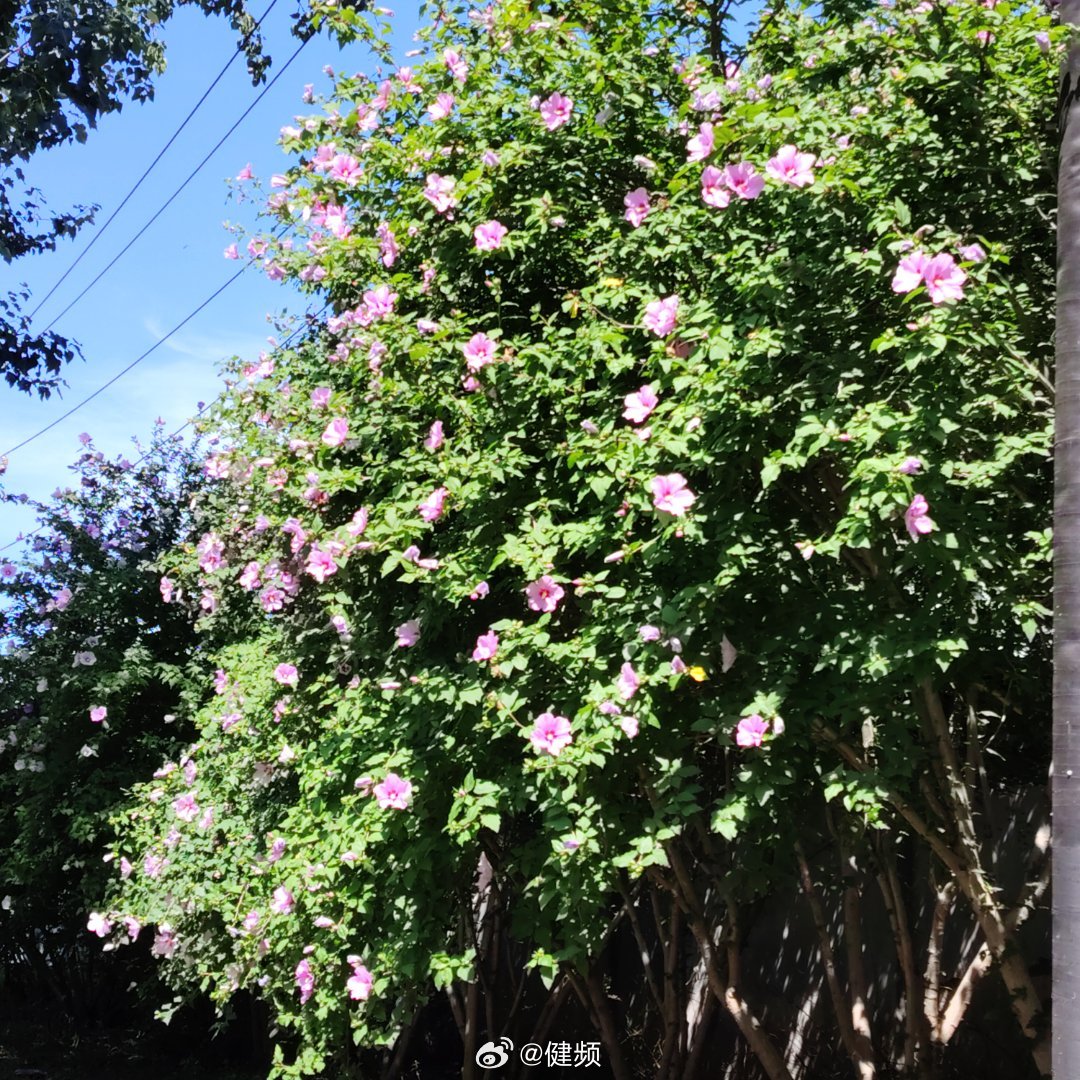 7月10日，周五，雷阵雨80% 