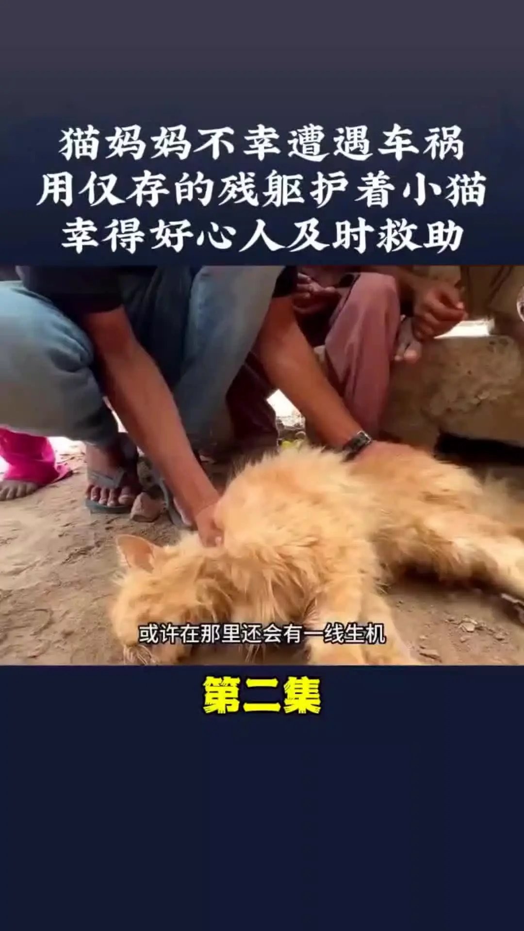 我的观影报告