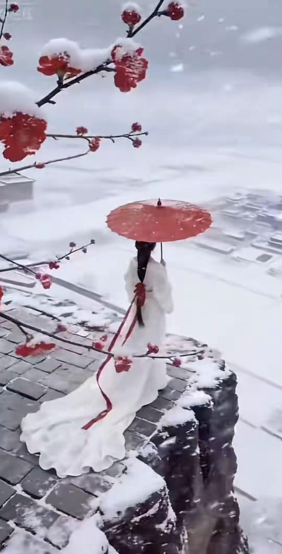 何来人间惊鸿客，不过红尘一俗人

总羡慕别人活得光芒万丈，以为世间多的是不食人间