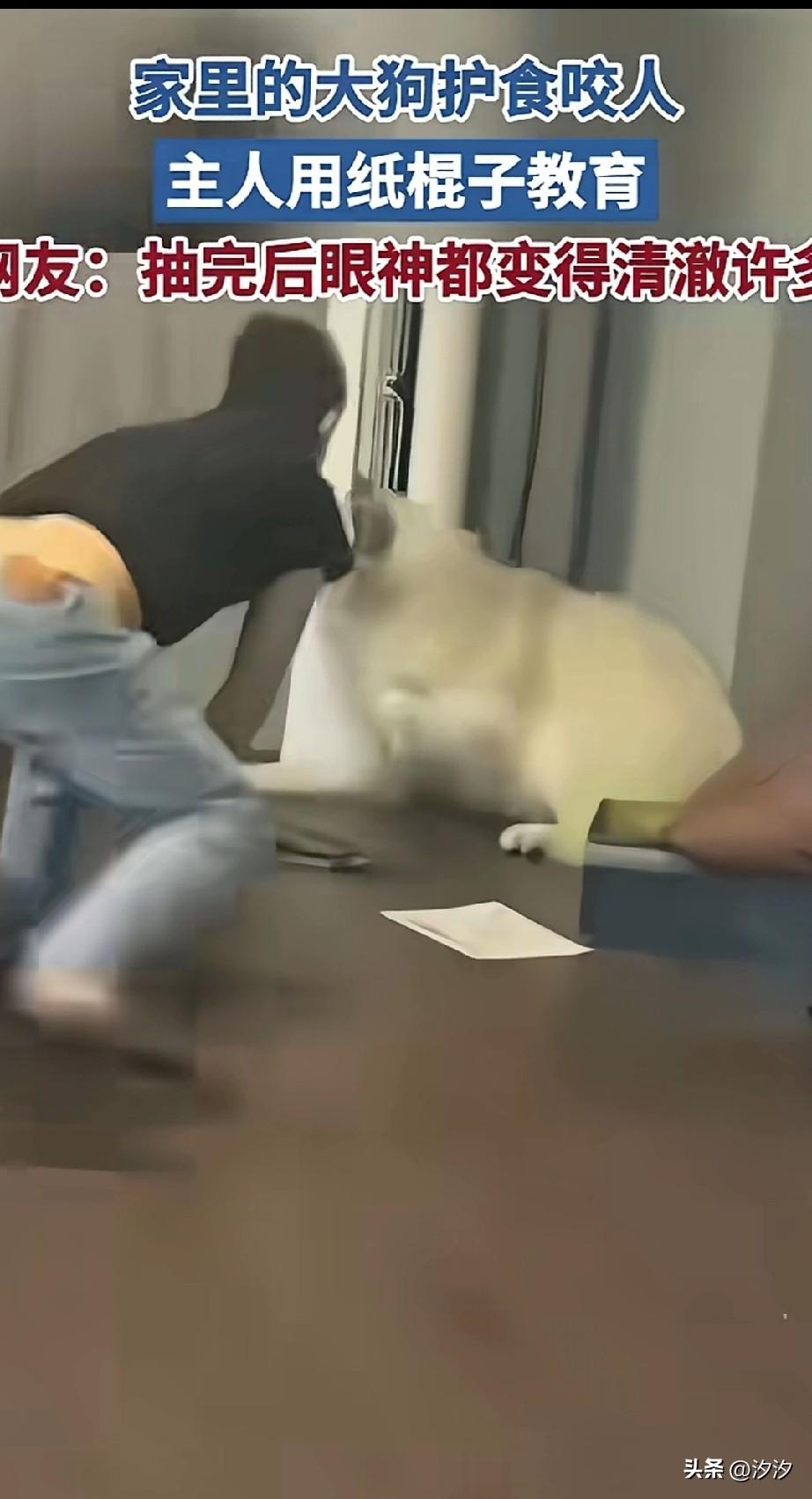 男子十分喜欢养狗，
他家的宠物狗也非常的漂亮，
但他家的宠物狗有个坏习，
那就是