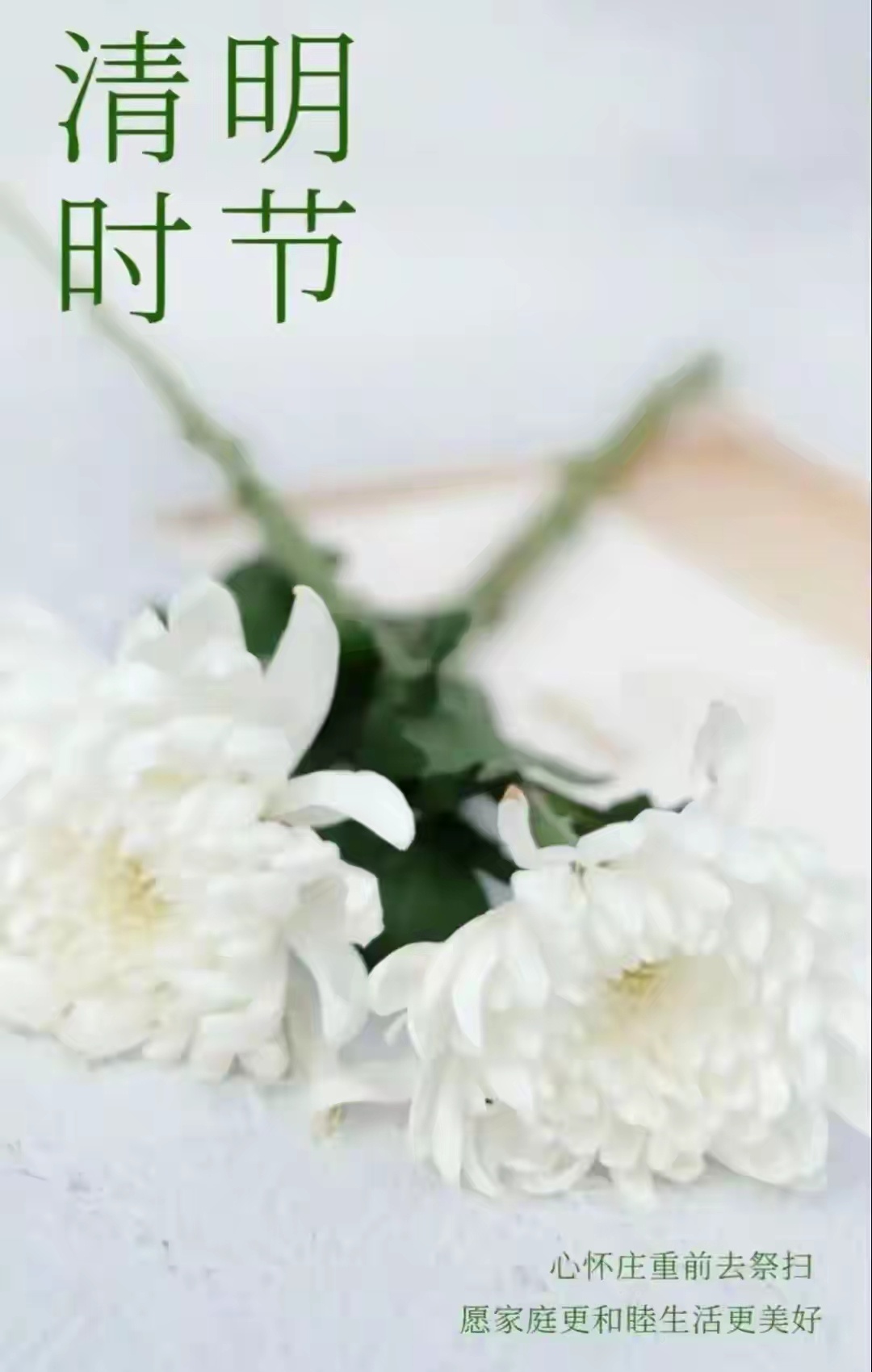 风清景明，慎终追远！我们祭拜先祖，感念血脉传承；缅怀先烈，致敬山河风骨。从炎黄肇