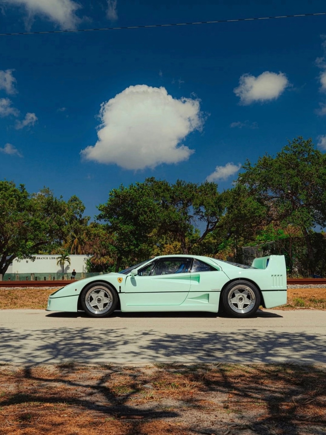 好夏天的颜色停在那里，风都是薄荷绿的清新味道吧