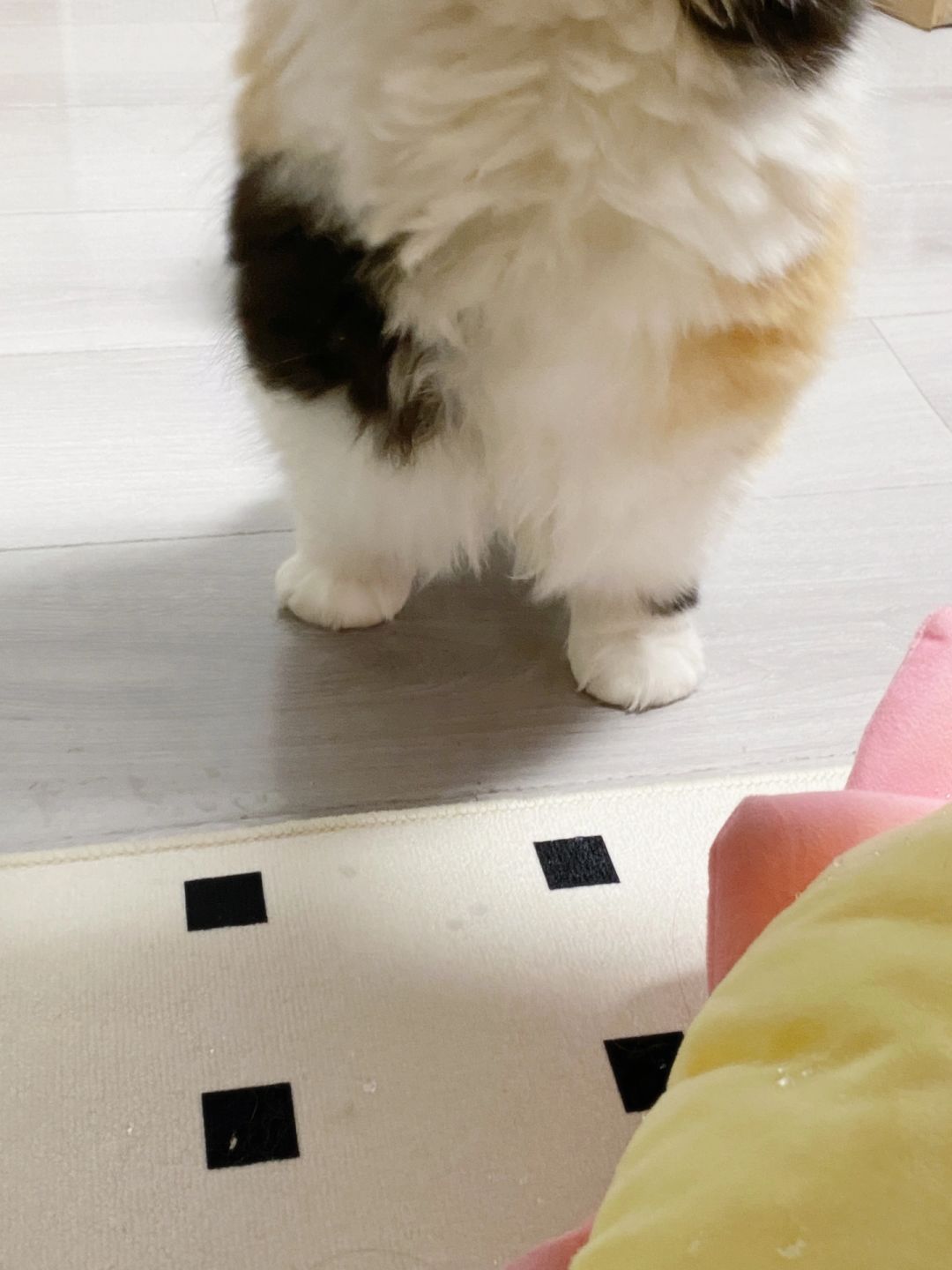 这谁顶得住啊