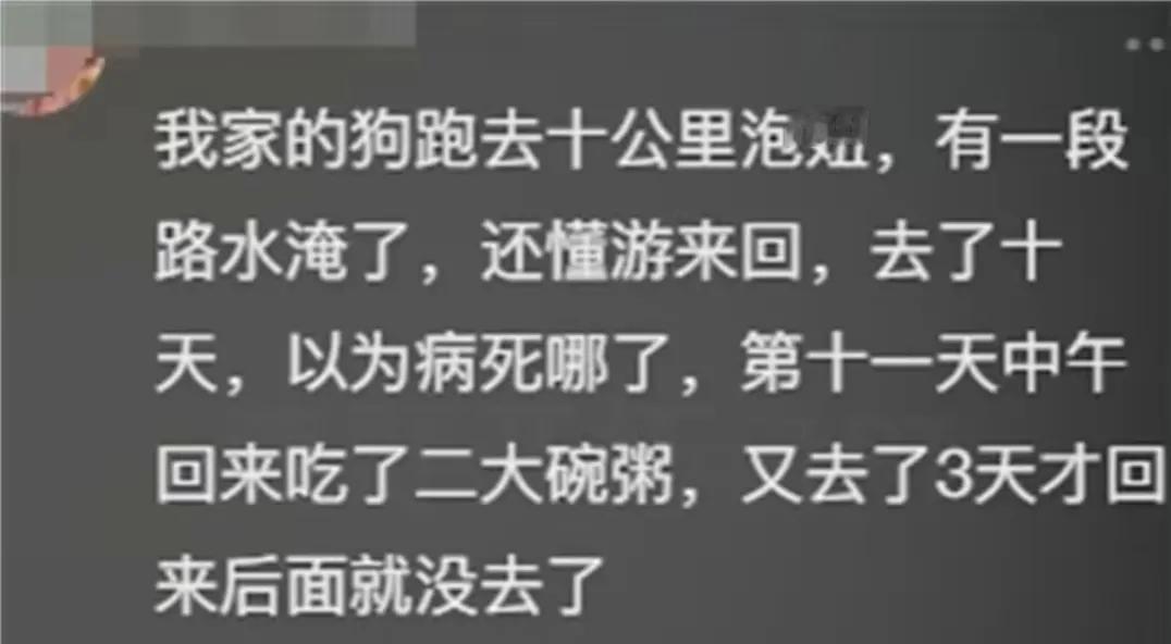 为什么后面没去了？？？