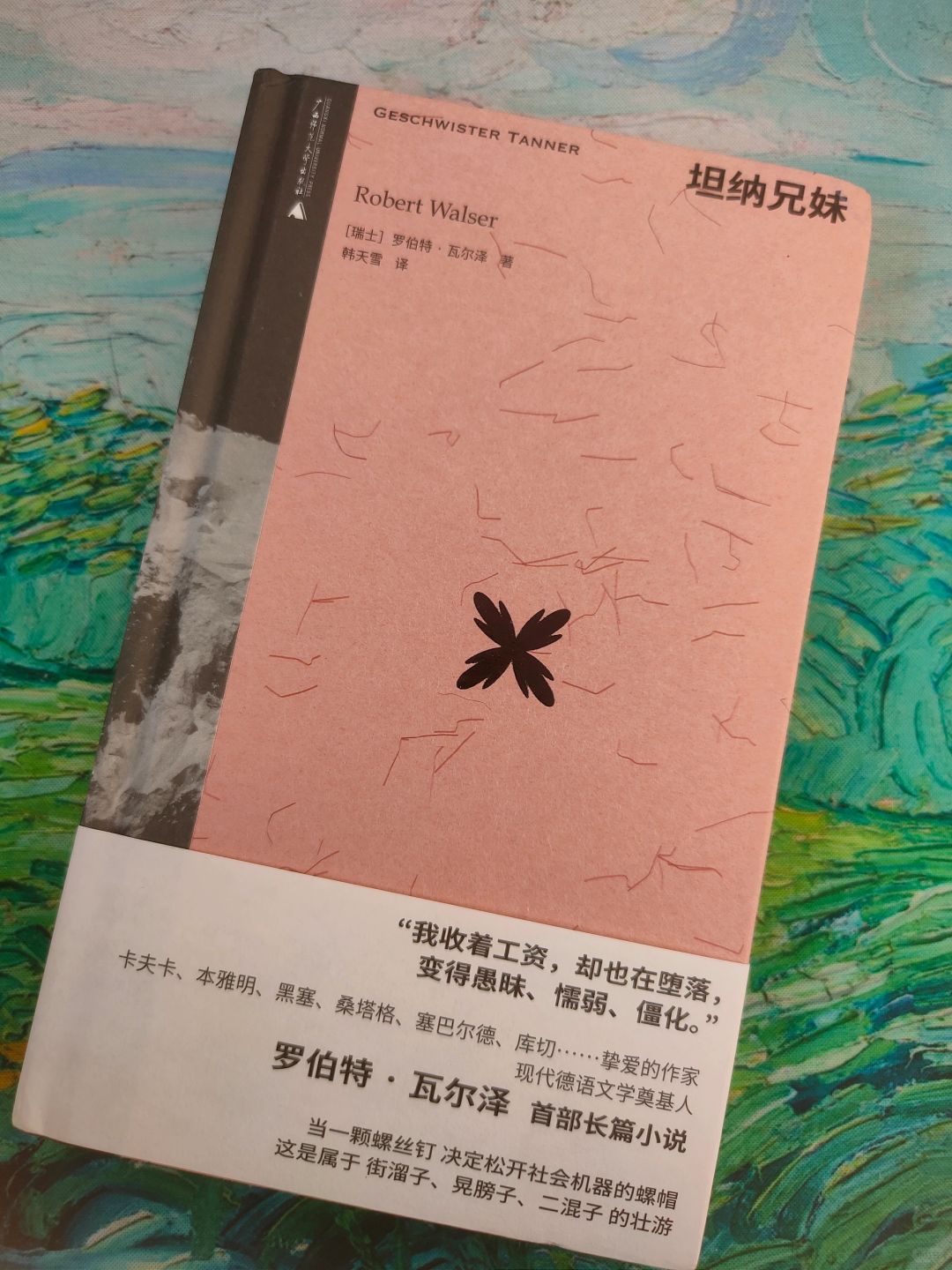 读瓦尔泽｜不愿被社会束缚的灵魂