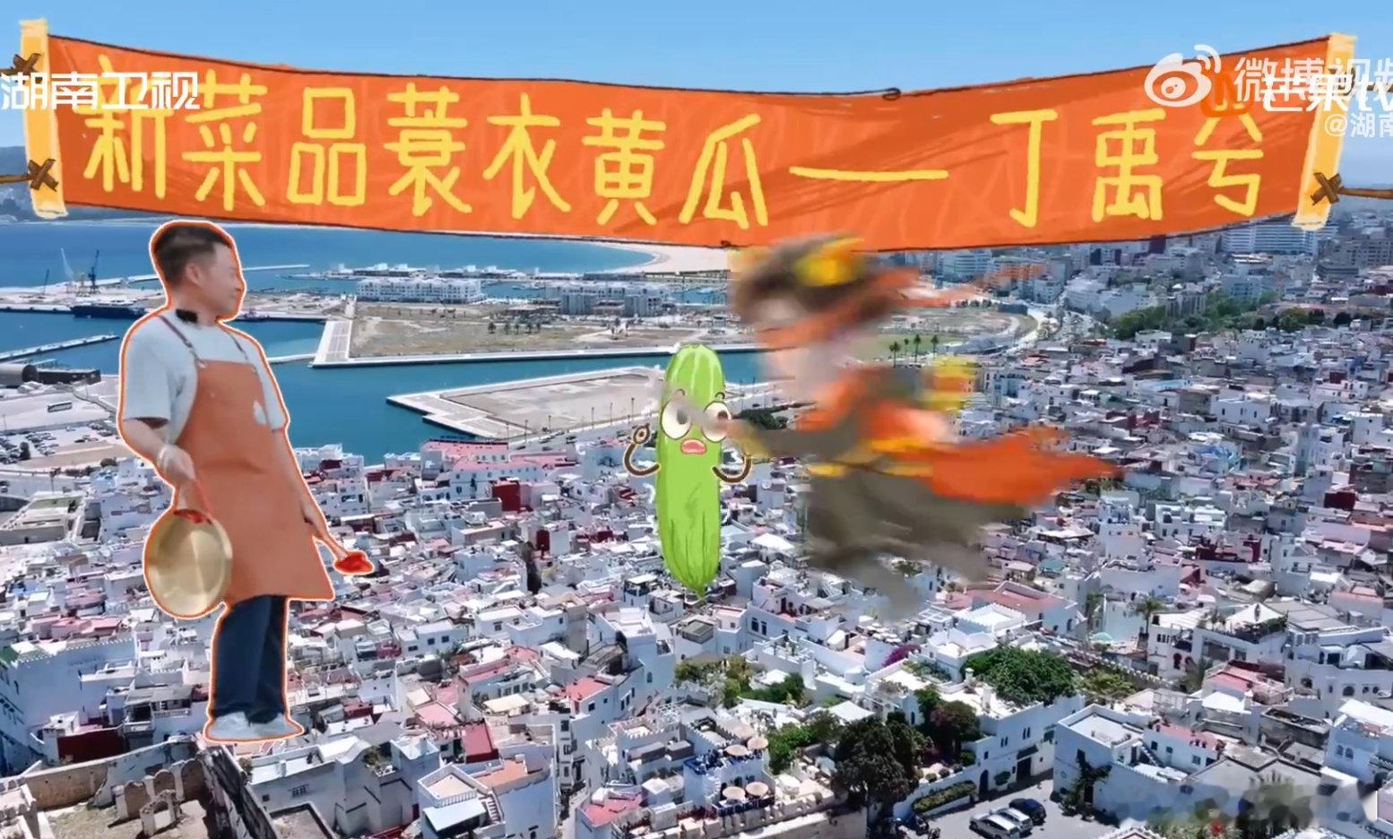 丁禹兮做什么都会成功的看丁禹兮学蓑衣黄瓜太治愈了！从生疏到熟练，每一次练习都在进