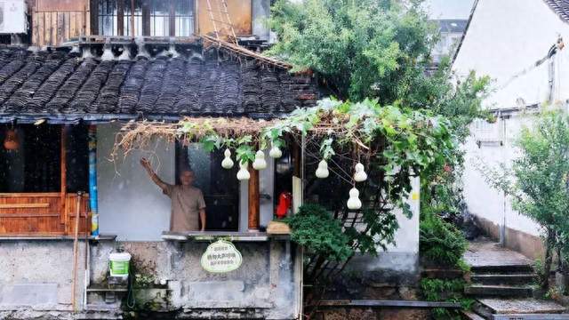 葫芦娃爷爷剪掉7个网红葫芦：善意叠加为何成了压力？