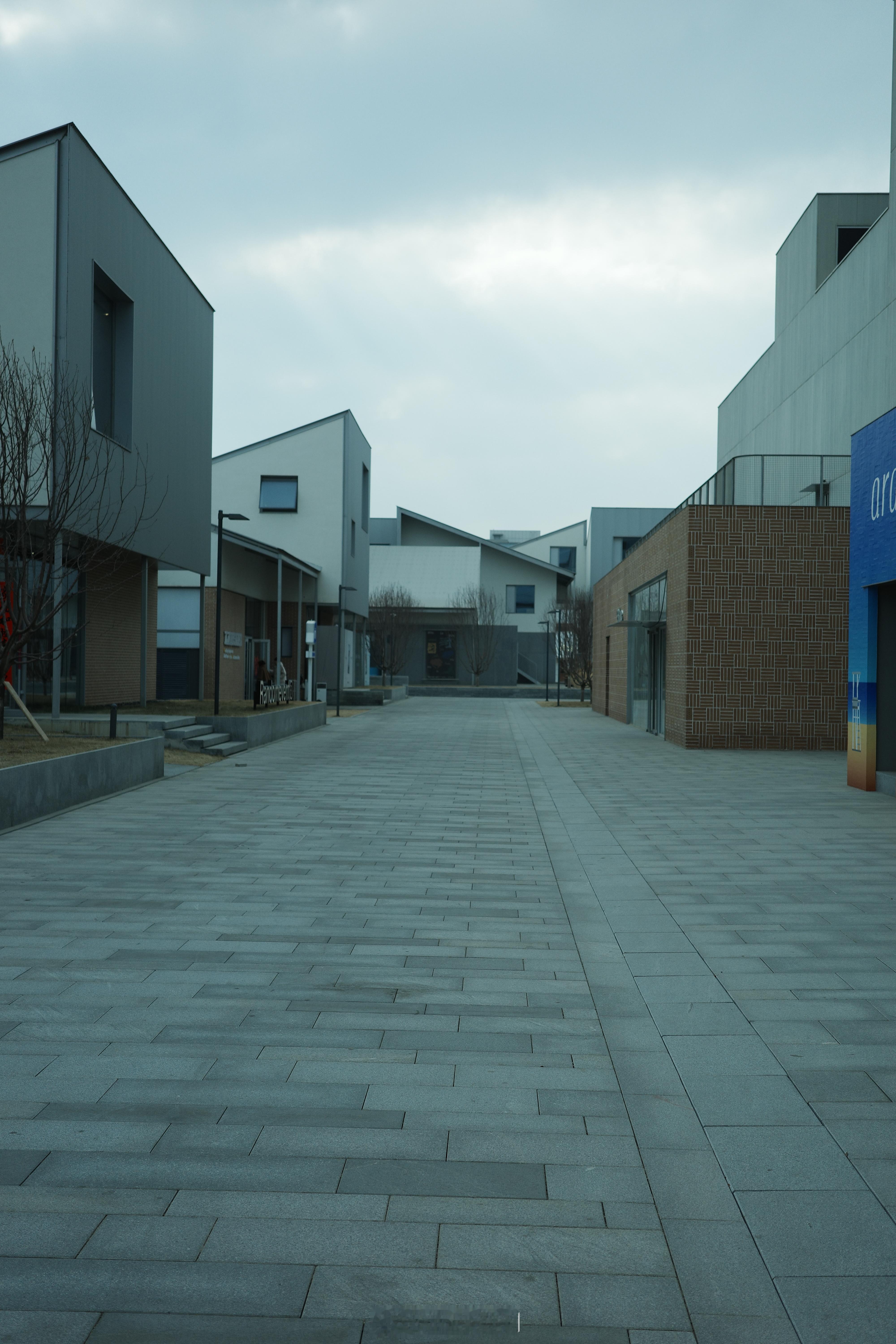 中国男篮vs日本男篮 回家看球！ 秦皇岛·阿那亚Aranya