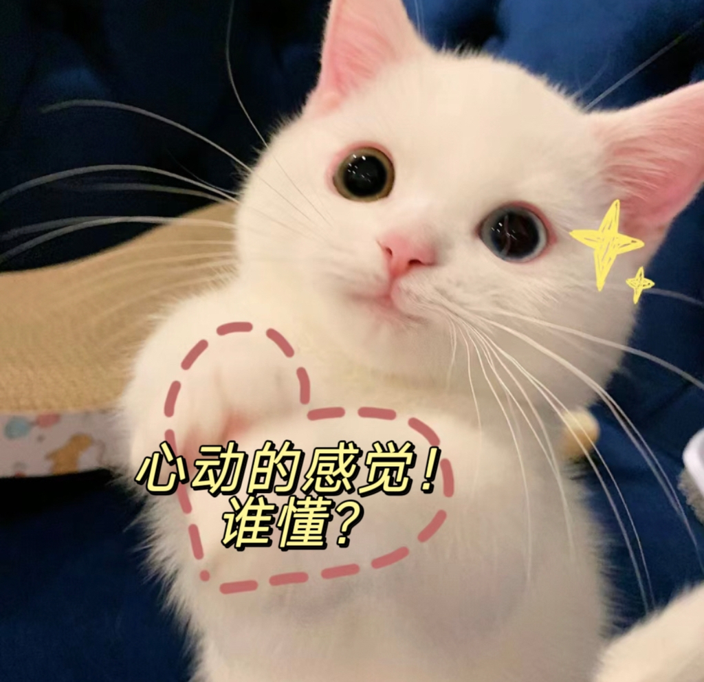 买车到底该看重什么？是一堆花里胡哨配置？还是日复一日能感知的舒适体验？行业内卷之