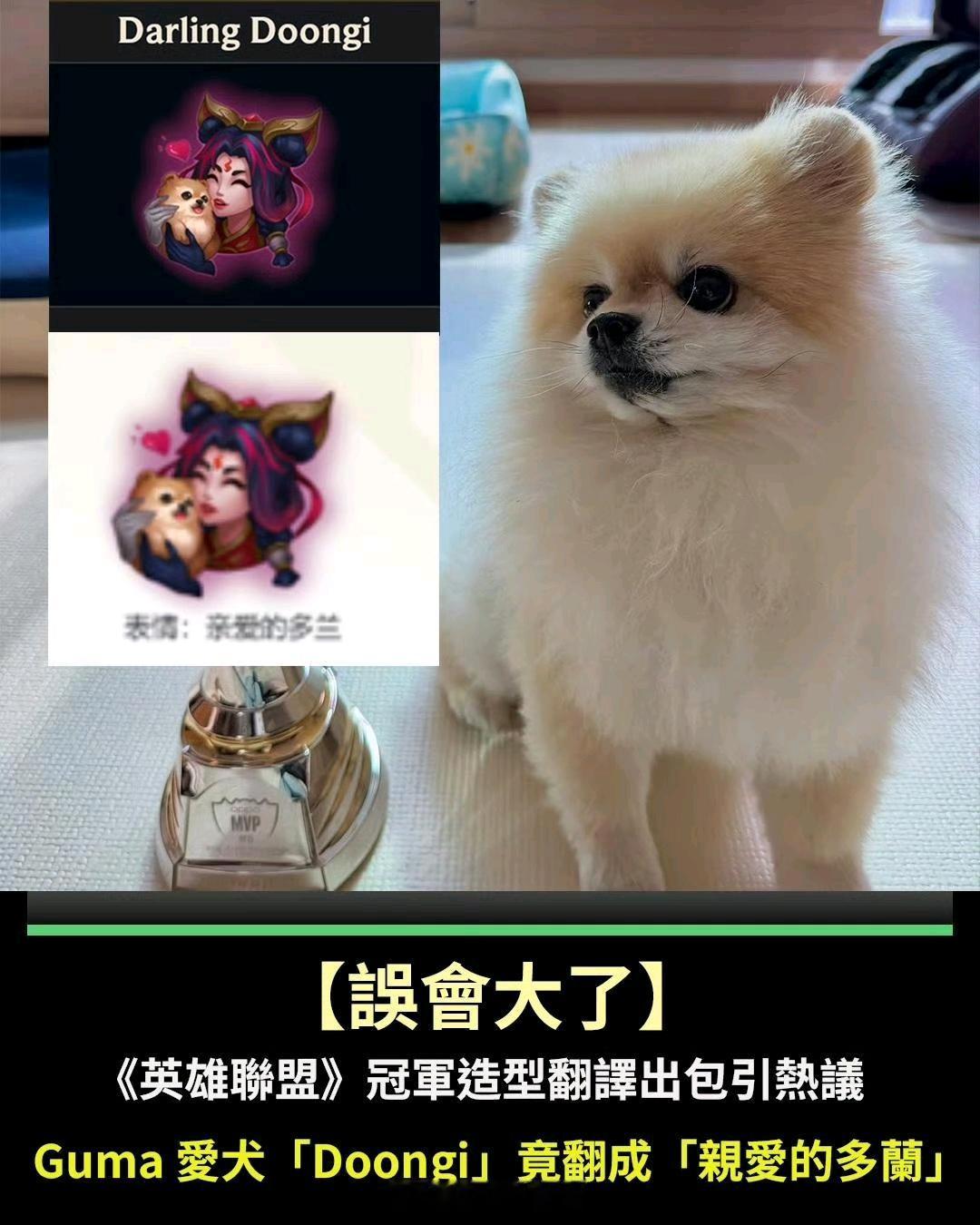 国服Guma爱犬Doongi翻译成“亲爱的多兰”BLG晋级EWC八强英雄联盟S1