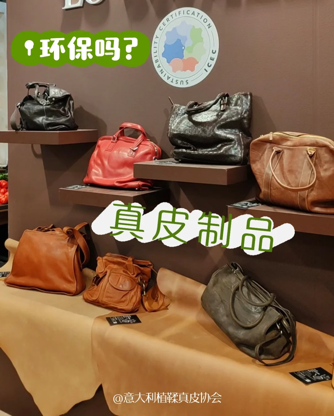 使用真皮制品环保吗？